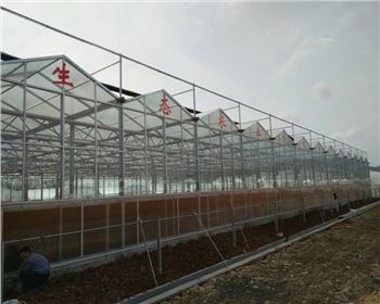 陜西蔬菜大棚案例