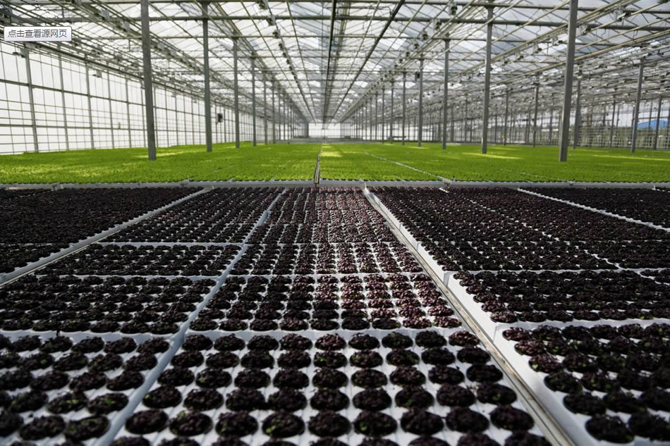 實(shí)力雄厚，品質(zhì)保證！