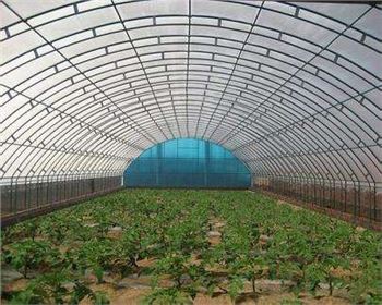 技術(shù)專(zhuān)業(yè)，服務(wù)到位