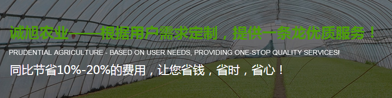 陜西溫室大棚廠(chǎng)家制作